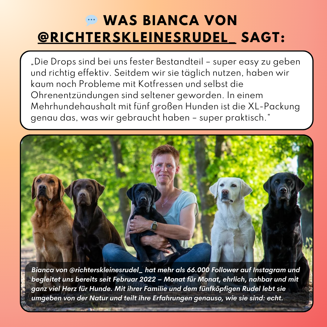 Probiotika Komplex Drops – Vorratsgröße (150 Stk.) | Community Edition mit @richterskleinesrudel_ Probiotika Komplex Drops – Vorratsgröße (150 Stk.) | Community Edition mit @richterskleinesrudel_