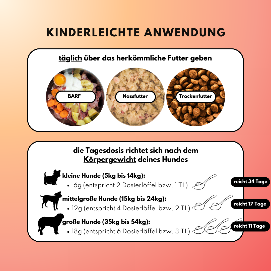 Probiotika Komplex Pulver mit 4 aktiven Bakterienstämmen Probiotika Komplex Pulver mit 4 aktiven Bakterienstämmen