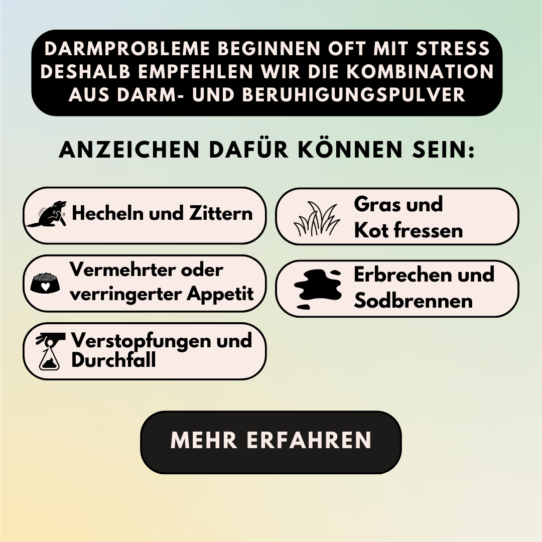 Sparset - "Relaxing Time" (Beruhigungspulver + Darmpulver) Sparset - "Relaxing Time" (Beruhigungspulver + Darmpulver)