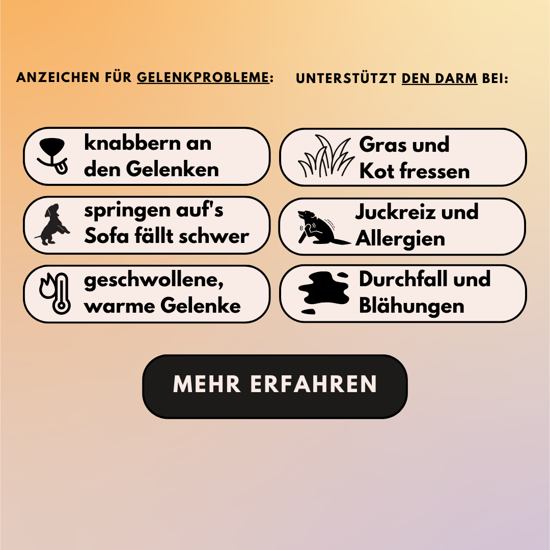 Sparset - "Pulver für Allergiker & Mäkler" (Gelenkpulver + Darmpulver)