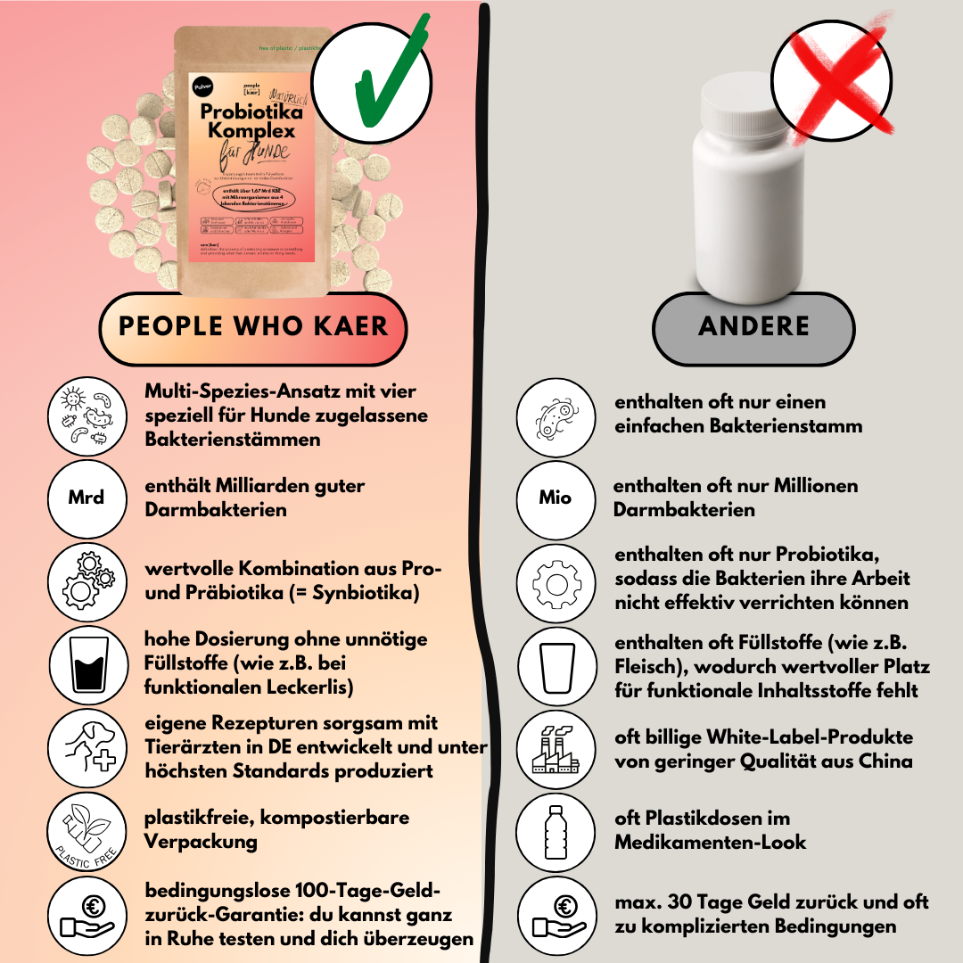 Probiotika Komplex Drops – Vorratsgröße (150 Stk.) | Community Edition mit @richterskleinesrudel_ Probiotika Komplex Drops – Vorratsgröße (150 Stk.) | Community Edition mit @richterskleinesrudel_