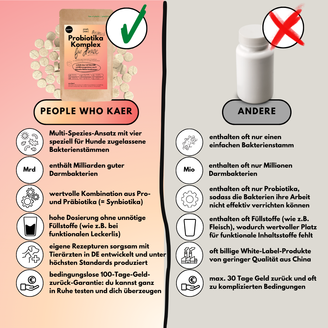 Probiotika Komplex Drops mit wertvollen Bakterienkulturen (3 Stämme) & Präbiotika (60 Stk.) - bei Darmsanierung, Darmaufbau oder nach Antibiotikagabe Probiotika Komplex Drops mit wertvollen Bakterienkulturen (3 Stämme) & Präbiotika (60 Stk.) - bei Darmsanierung, Darmaufbau oder nach Antibiotikagabe