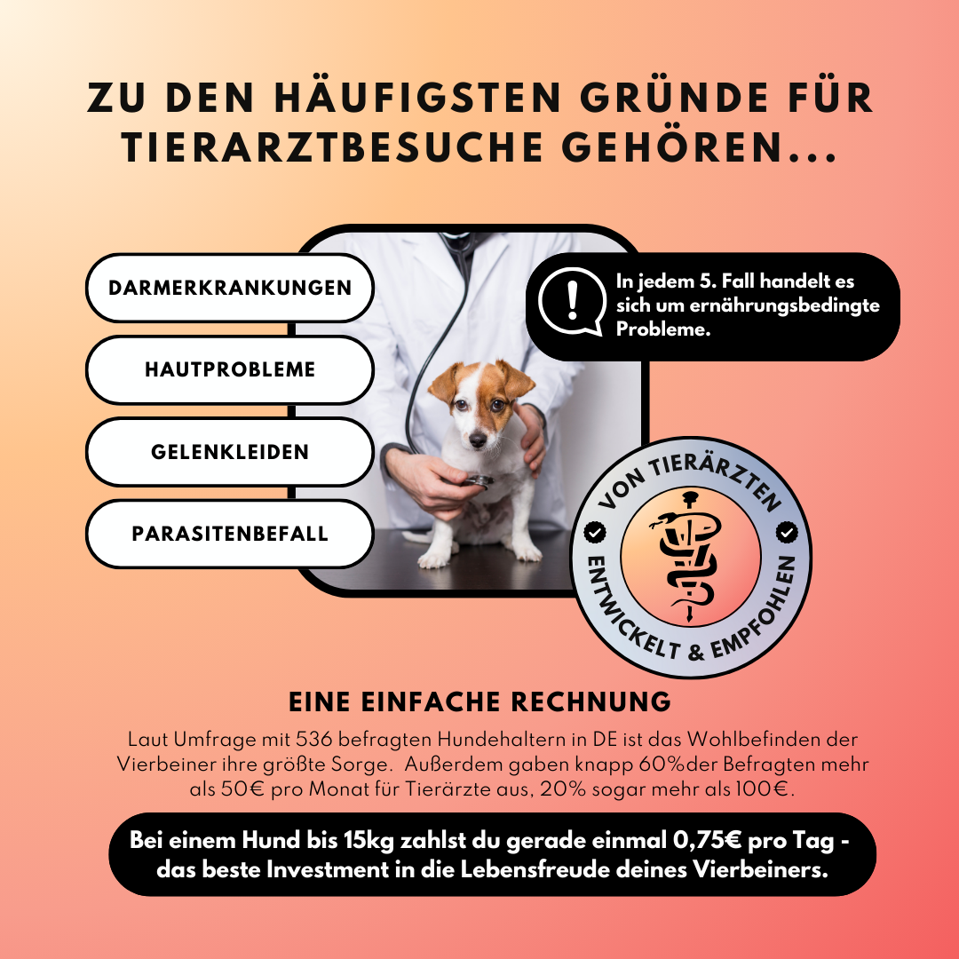 Probiotika Komplex Drops – Vorratsgröße (150 Stk.) | Community Edition mit @richterskleinesrudel_ Probiotika Komplex Drops – Vorratsgröße (150 Stk.) | Community Edition mit @richterskleinesrudel_