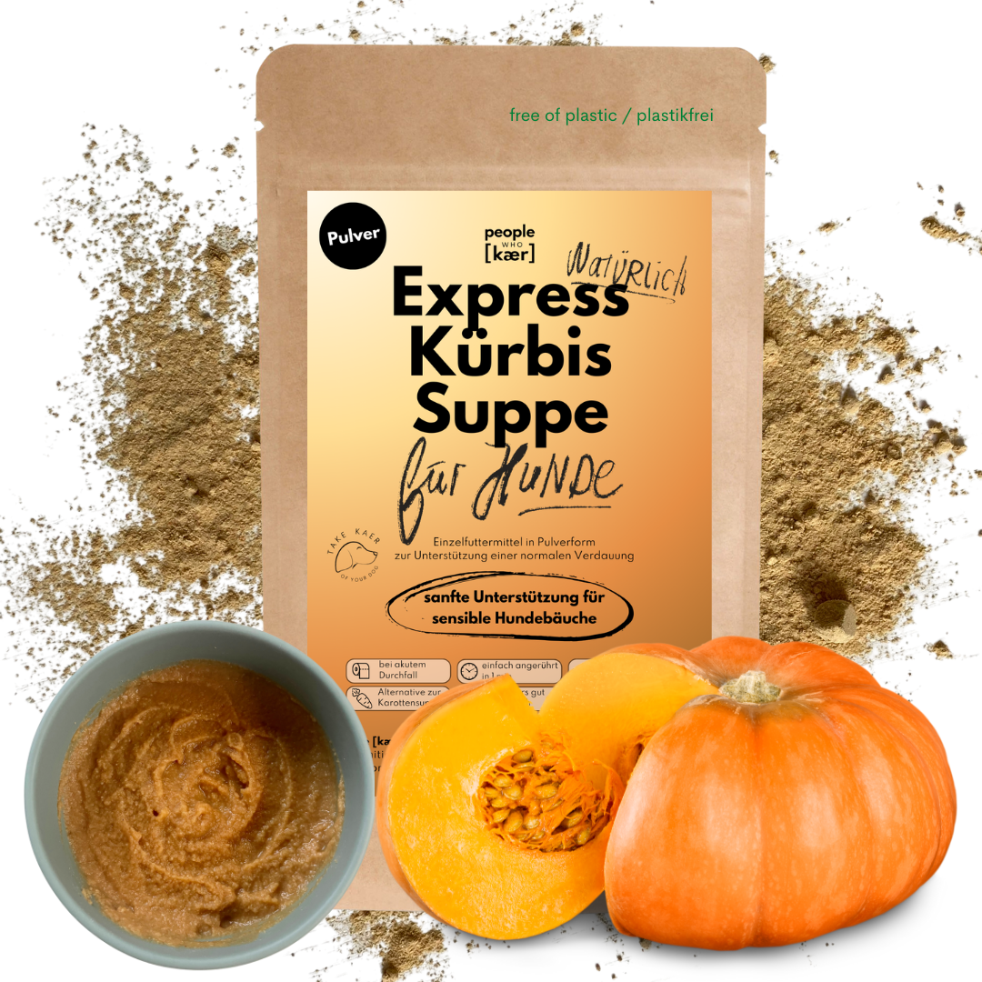 Express Kürbissuppe für Hunde | Sanfte Unterstützung bei Durchfall & sensibler Verdauung (200g) Express Kürbissuppe für Hunde | Sanfte Unterstützung bei Durchfall & sensibler Verdauung (200g)