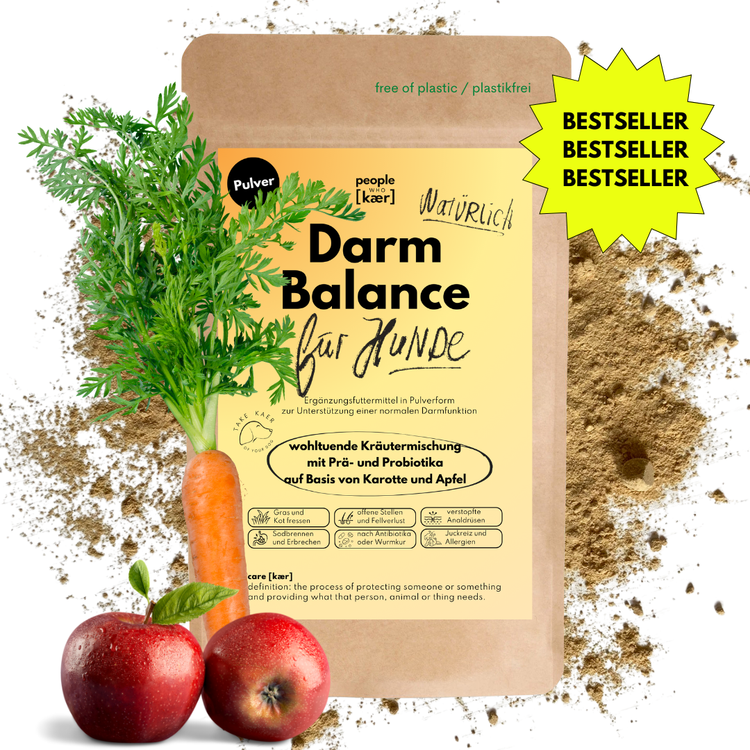 Darmpulver für Hunde mit Prä- & Probiotika, Flohsamenschalen und Inulin (200g) Darmpulver für Hunde mit Prä- & Probiotika, Flohsamenschalen und Inulin (200g)