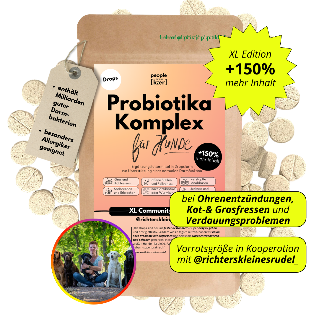 Probiotika Komplex Drops – Vorratsgröße (150 Stk.) | Community Edition mit @richterskleinesrudel_ Probiotika Komplex Drops – Vorratsgröße (150 Stk.) | Community Edition mit @richterskleinesrudel_