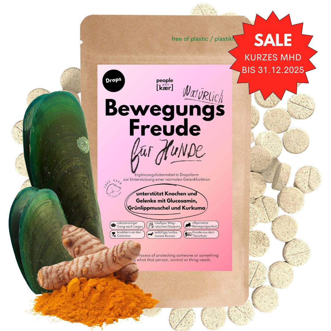 Gelenktabletten (kurzes MHD) Gelenktabletten (kurzes MHD)