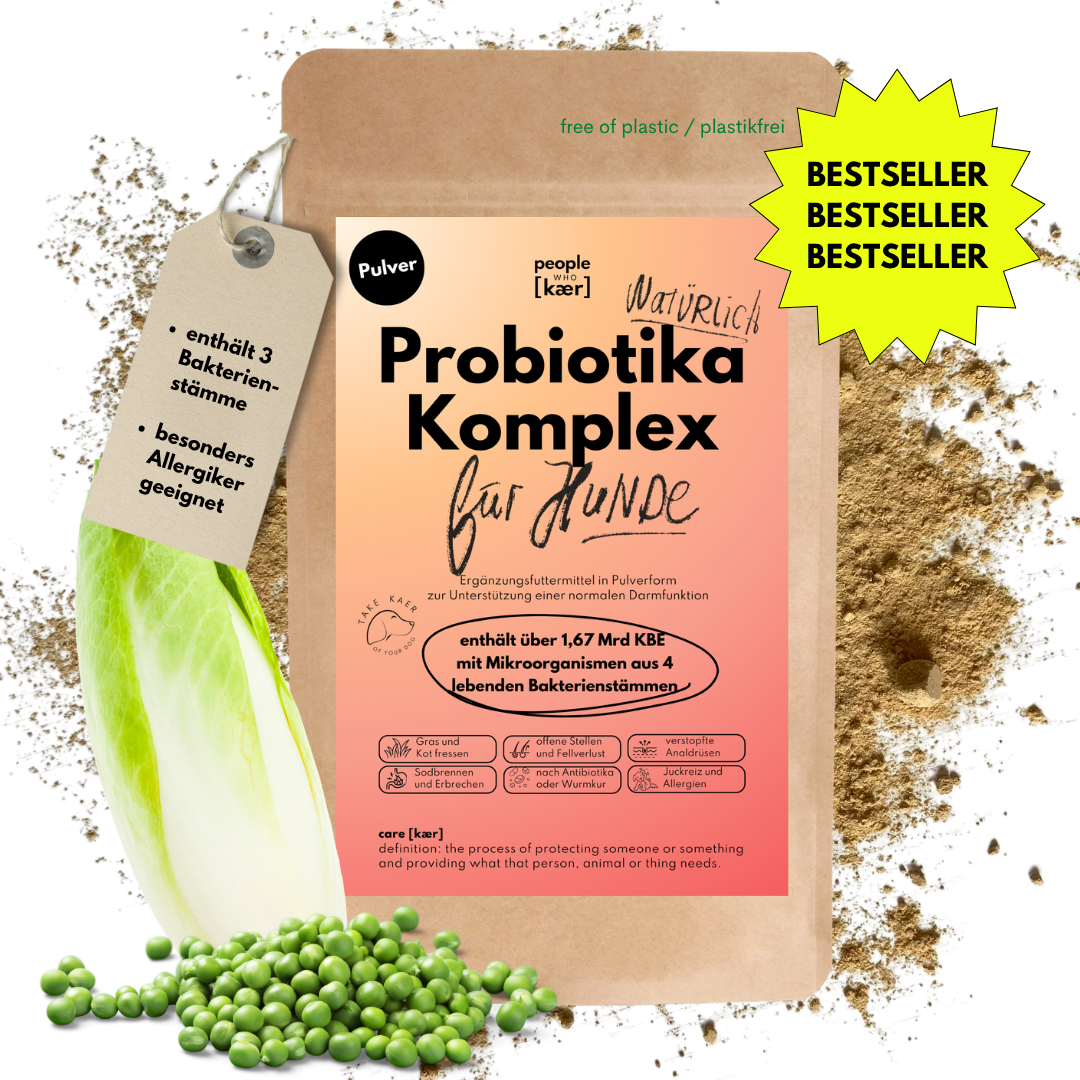 Probiotika Komplex Pulver mit Milliarden guten Darmbakterien Probiotika Komplex Pulver mit Milliarden guten Darmbakterien