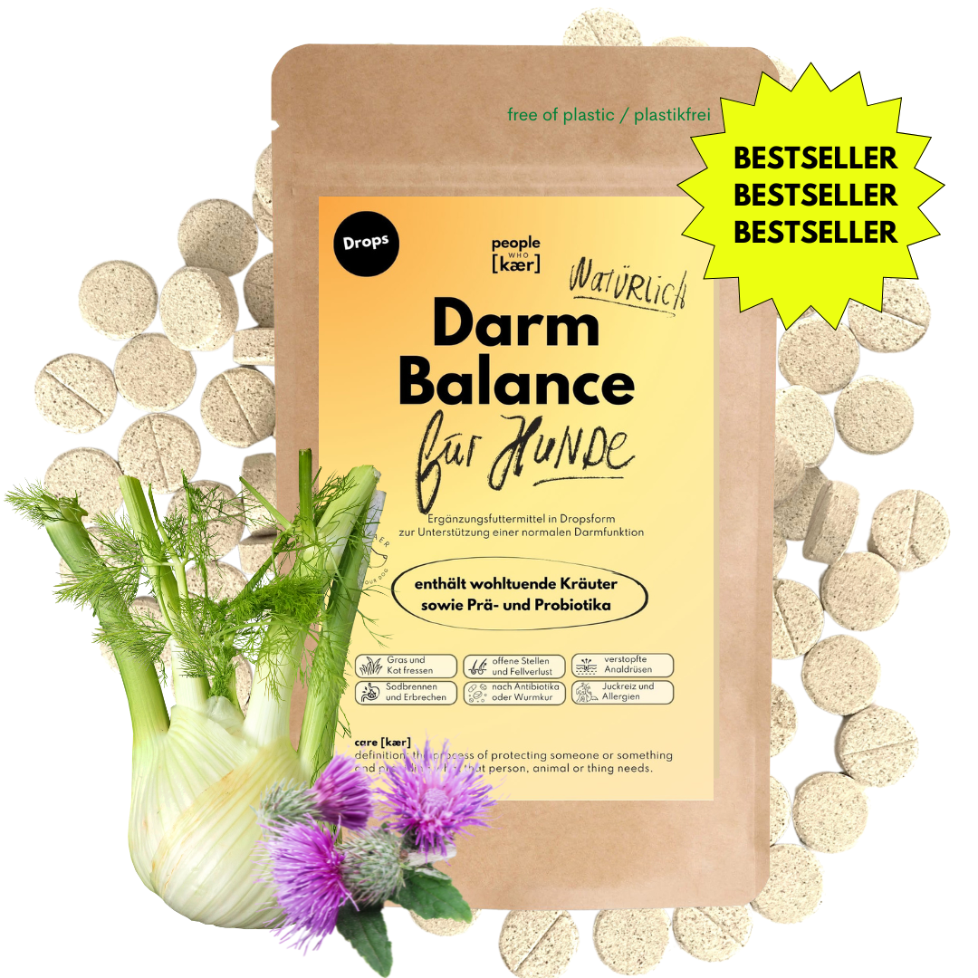 Darmdrops für Hunde mit Prä- & Probiotika, Flohsamenschalen und Inulin (60 Stk.) Darmdrops für Hunde mit Prä- & Probiotika, Flohsamenschalen und Inulin (60 Stk.)