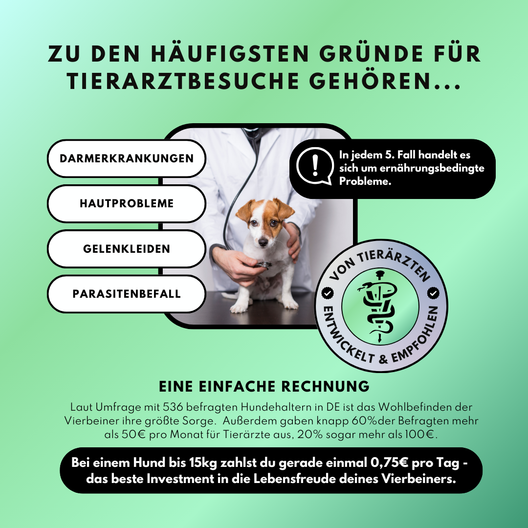 Zahn Frische mit Pfefferminze und Eukalyptus (200g) Zahn Frische mit Pfefferminze und Eukalyptus (200g)