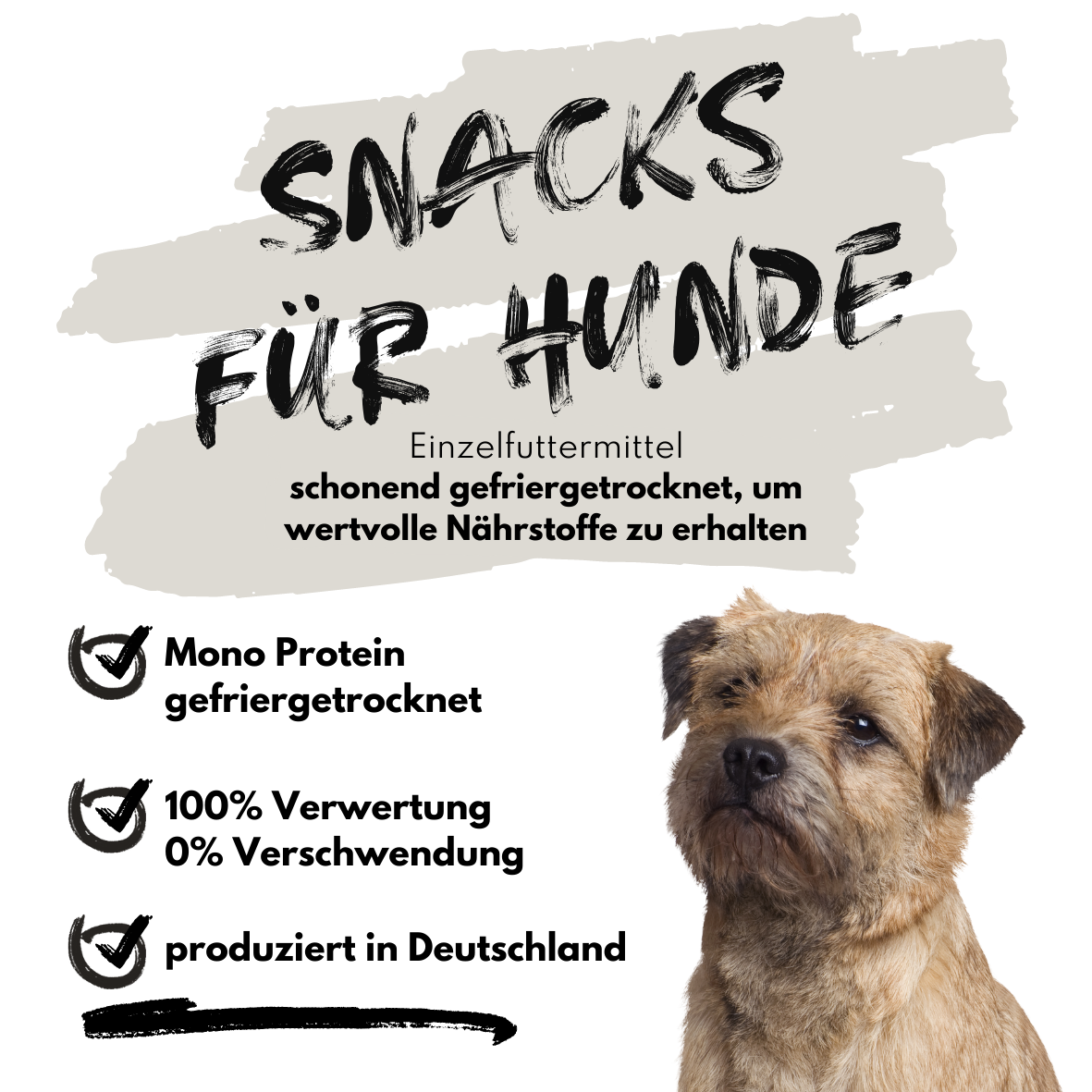Sparset - alle Super Leckerlis Sparset - alle Super Leckerlis