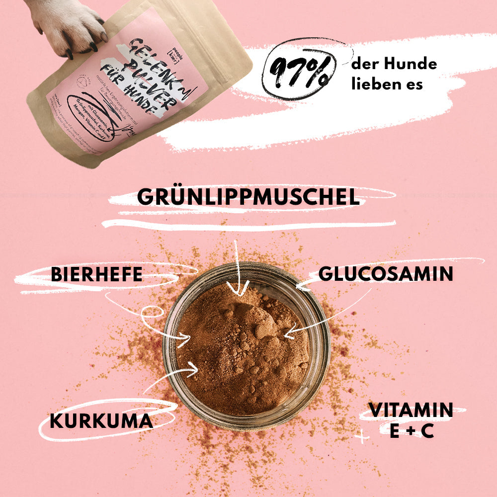 Gelenkpulver für Hunde mit Glucosamin, Grünlippmuschel & Kurkuma (200g) Gelenkpulver für Hunde mit Glucosamin, Grünlippmuschel & Kurkuma (200g)