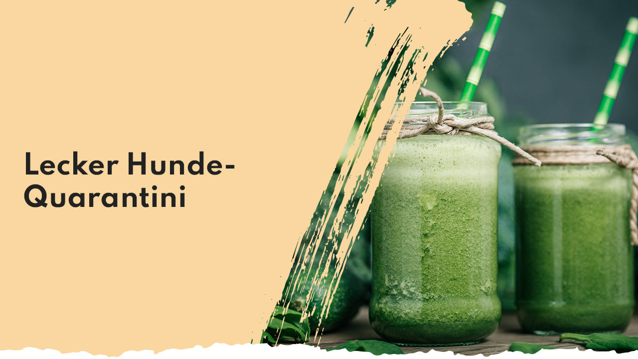 People Who Kaer Hunde-Smoothie für Gelenke