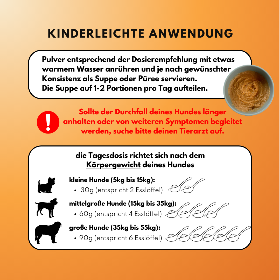 Morosche Karottensuppe - Karottenpulver mit Apfel verfeinert (200g)