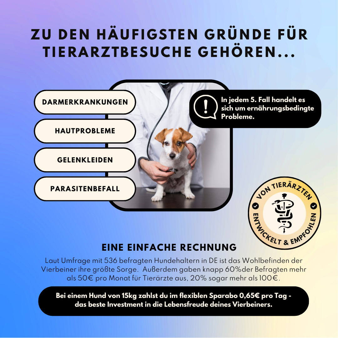 Haut & Fell Pulver für Hunde mit Biotin, Kurkuma, Hyaluron & Bierhefe (200g)