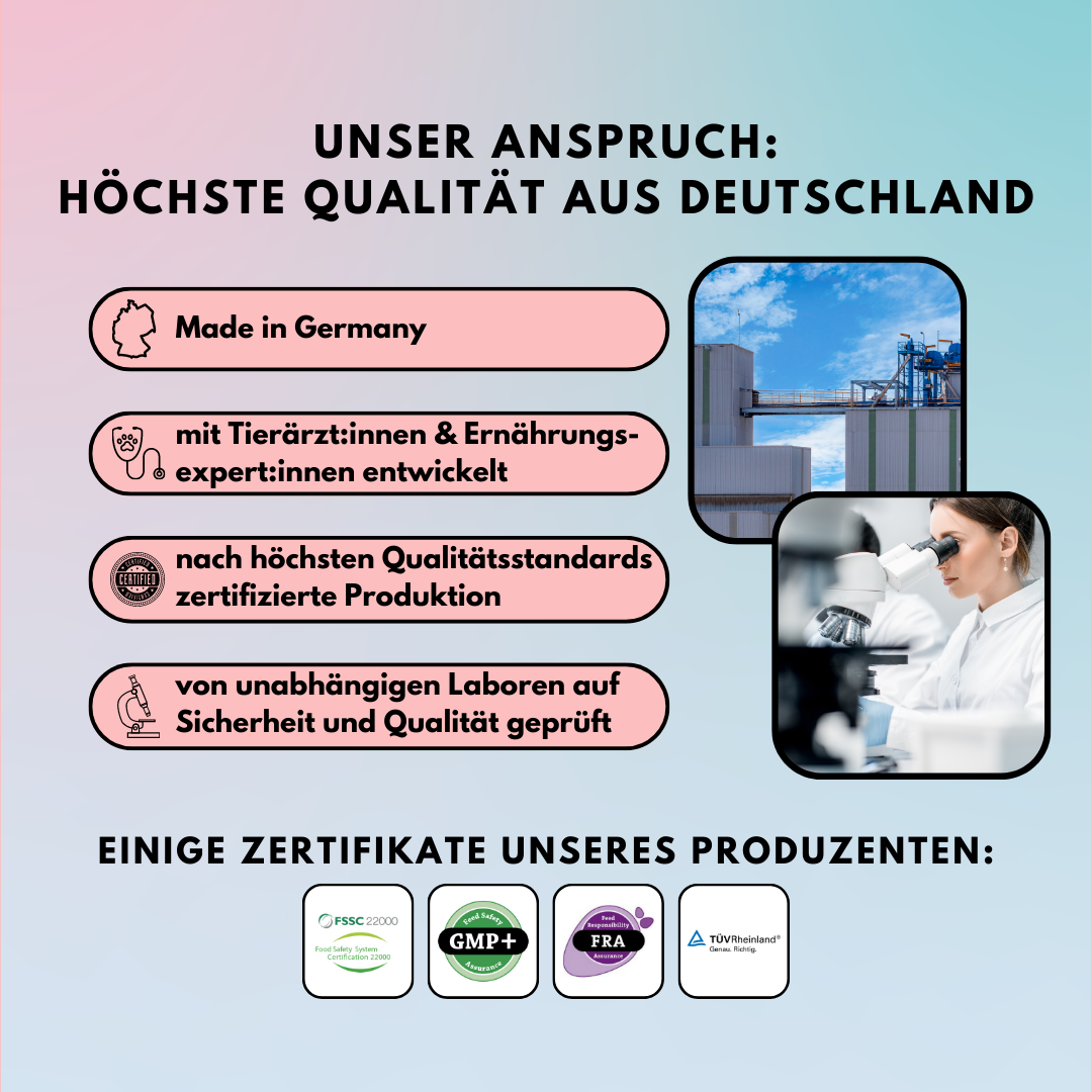Gelenkpulver für Hunde mit Glucosamin, Grünlippmuschel & Kurkuma (200g)