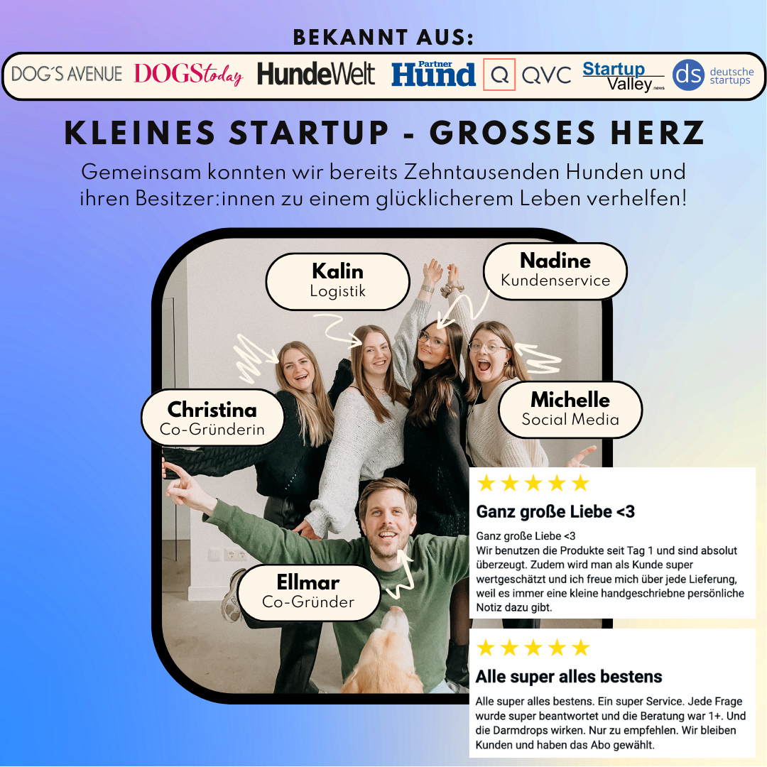 Haut & Fell Pulver für Hunde mit Biotin, Kurkuma, Hyaluron & Bierhefe (200g)