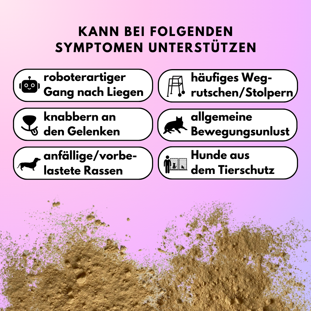 Gelenkpulver für Allergiker & Mäkler mit MSM, Teufelskralle und Weidenrinde (200g)
