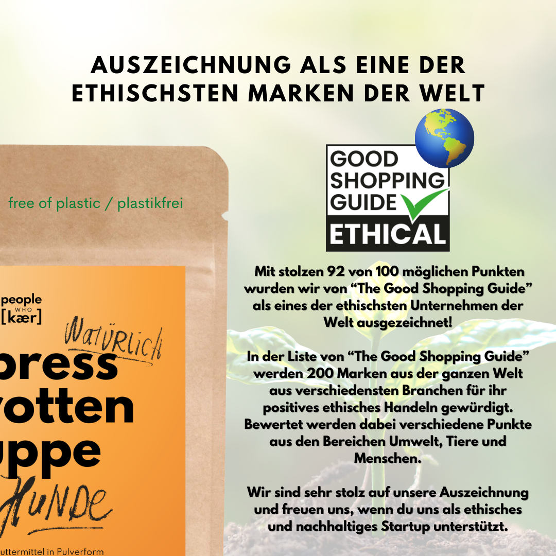 Morosche Karottensuppe - Karottenpulver mit Apfel verfeinert (200g)