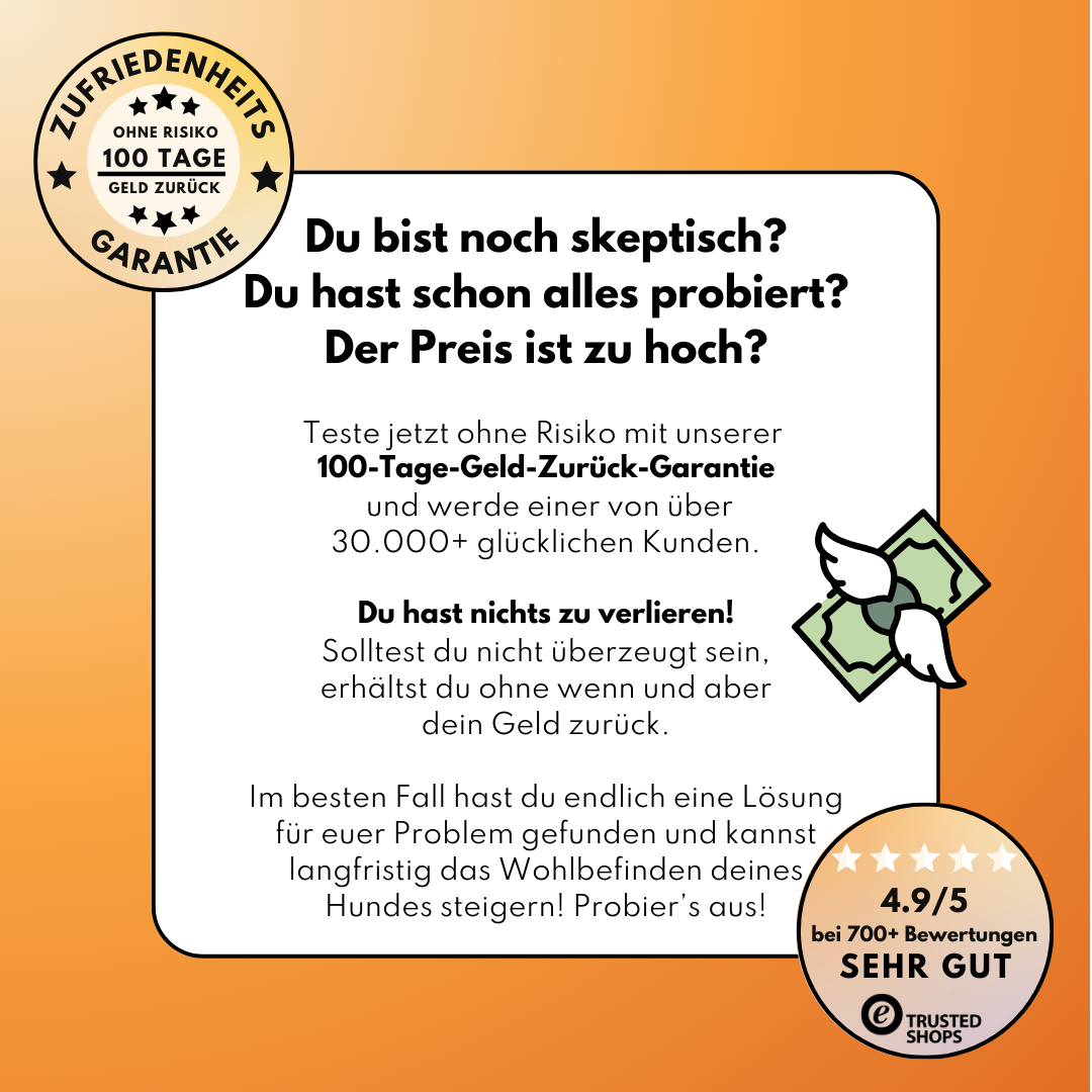 Morosche Karottensuppe - Karottenpulver mit Apfel verfeinert (200g)