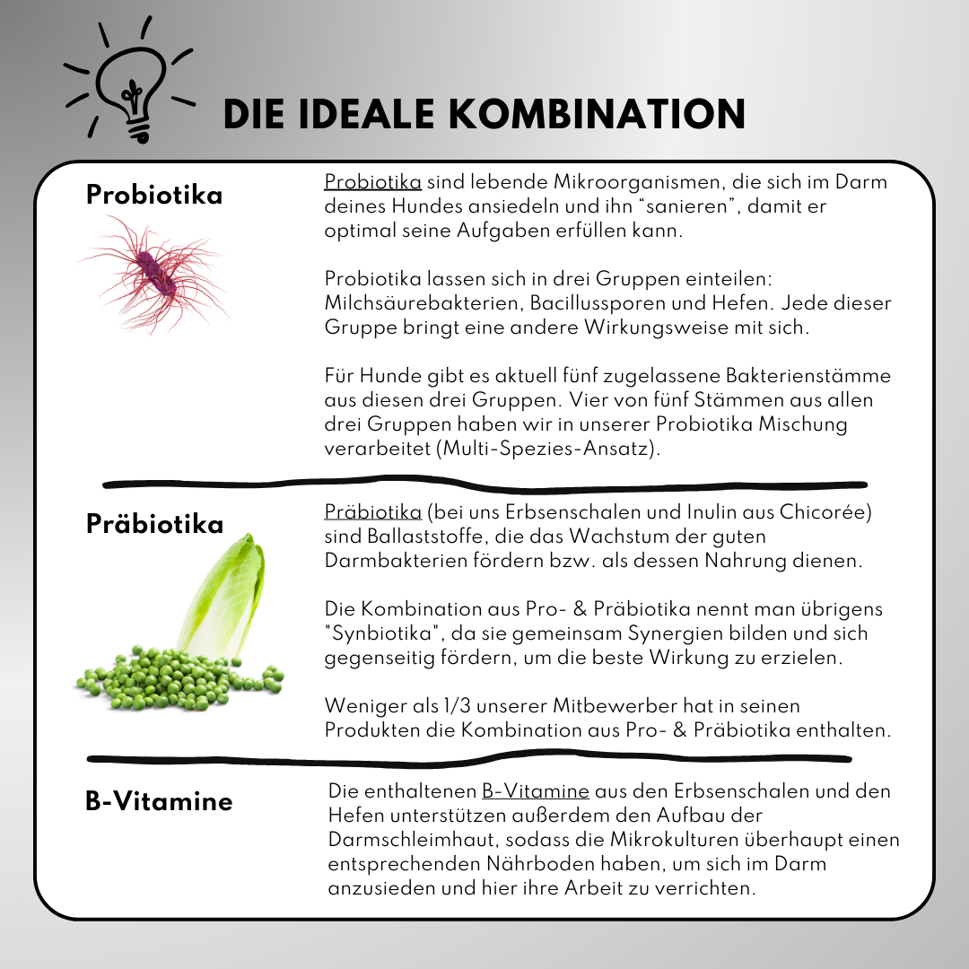 Haut & Fell Pulver für Hunde mit Biotin, Kurkuma, Hyaluron & Bierhefe (200g)