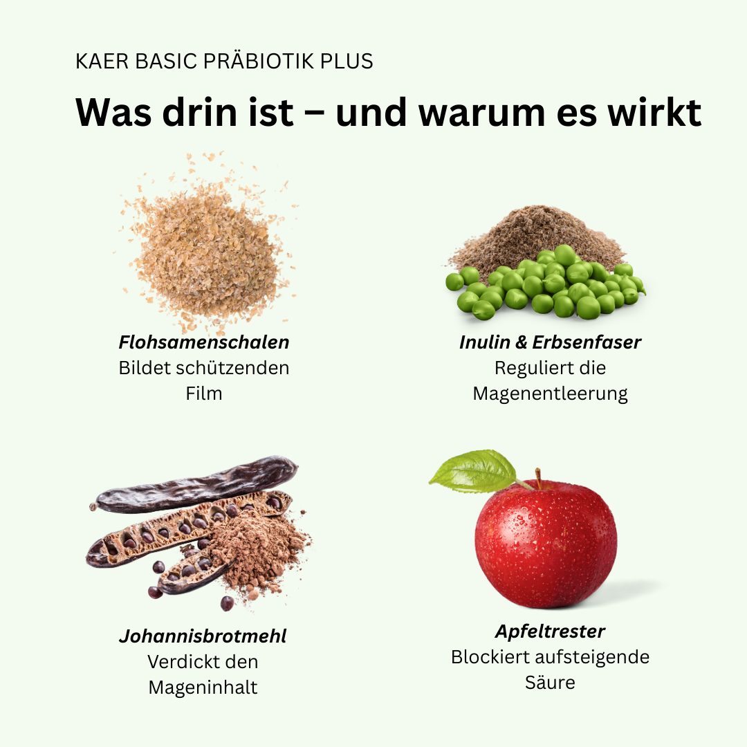kaer basic Präbiotik Plus Pulver für Hunde - Mittel gegen Sodbrennen, Leerschlucken & zu viel Magensäure