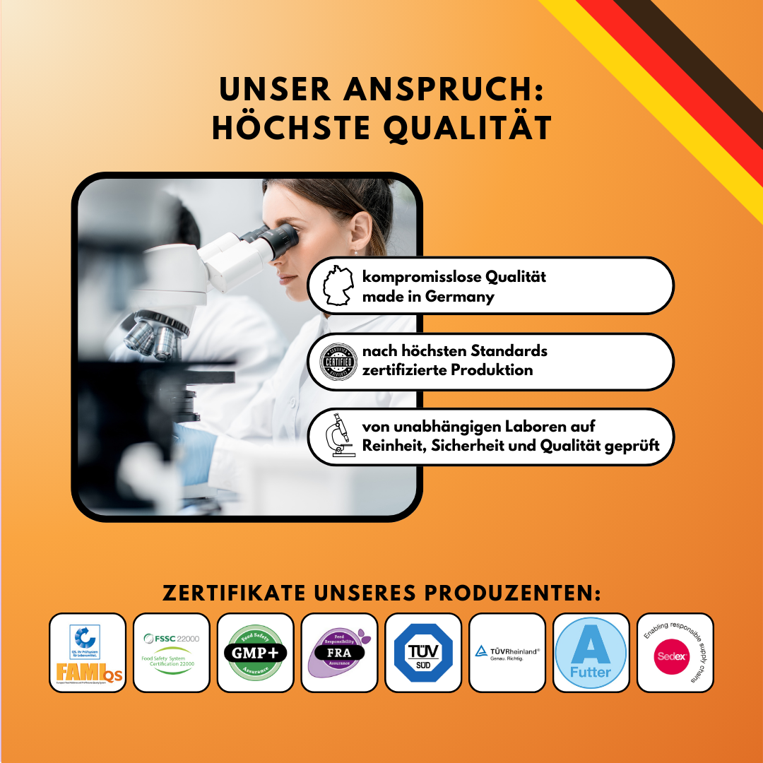 Morosche Karottensuppe - Karottenpulver mit Apfel verfeinert (200g)