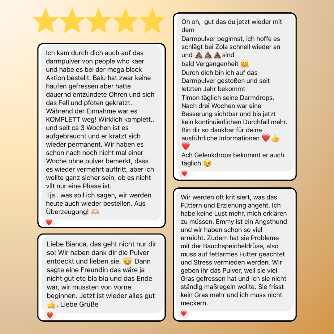 Darmpulver für Allergiker und Mäkler (200g)