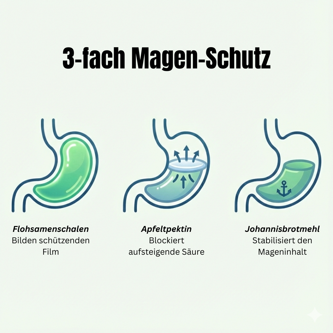 kaer basic Präbiotik Plus Pulver für Hunde - Mittel gegen Sodbrennen, Leerschlucken & zu viel Magensäure