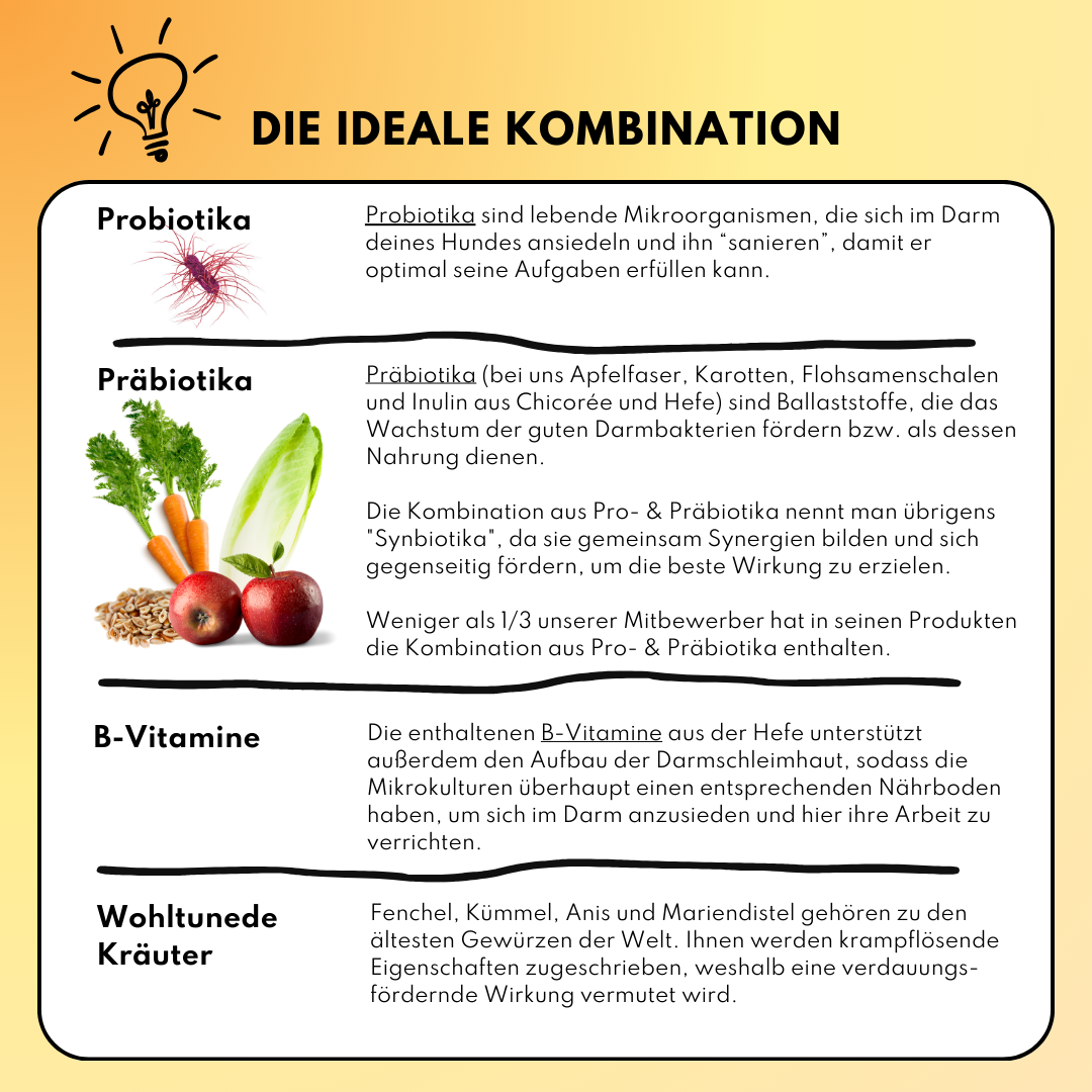 Darmdrops für Hunde mit Prä- & Probiotika, Flohsamenschalen und Inulin (60 Stk.)