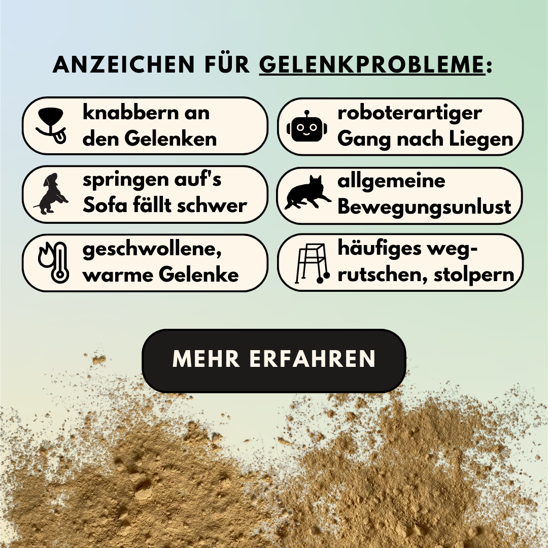 Gelenkpulver für Allergiker & Mäkler mit MSM, Teufelskralle und Weidenrinde (200g)