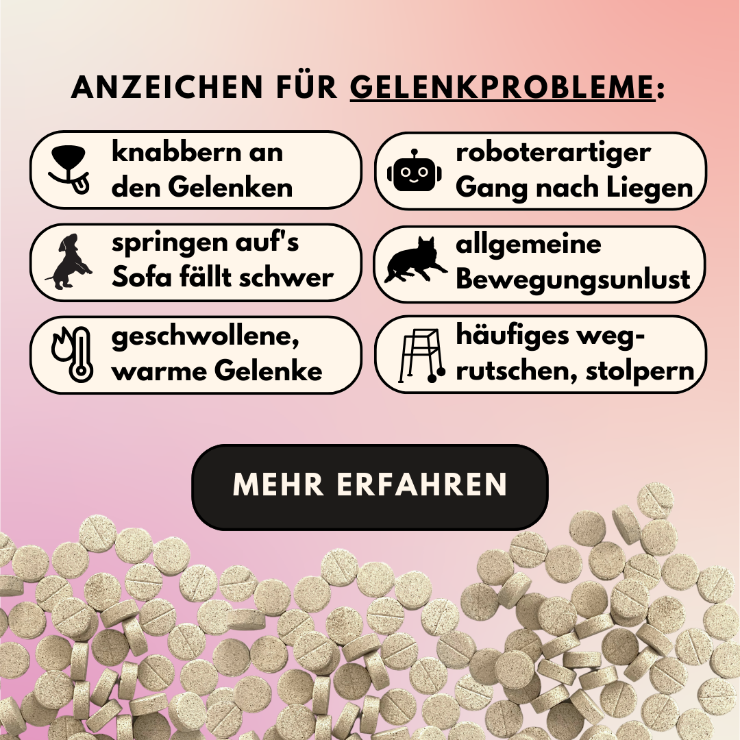 Gelenktabletten mit Glucosamin, Grünlippmuschel und Kurkuma (60 Stk.)