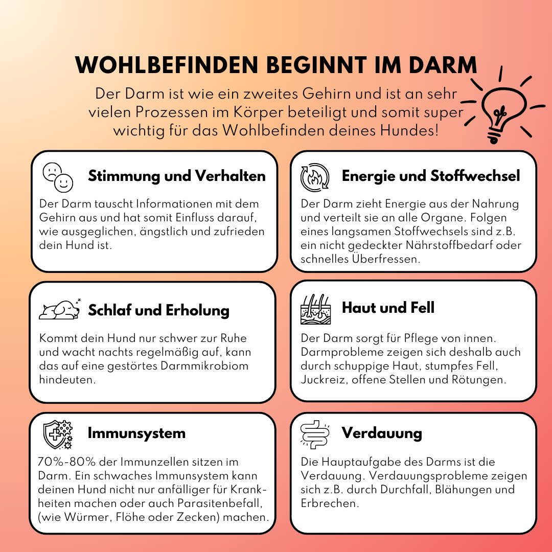 Probiotika Komplex Drops mit wertvollen Bakterienkulturen & Ballaststoffen (60 Stk.)