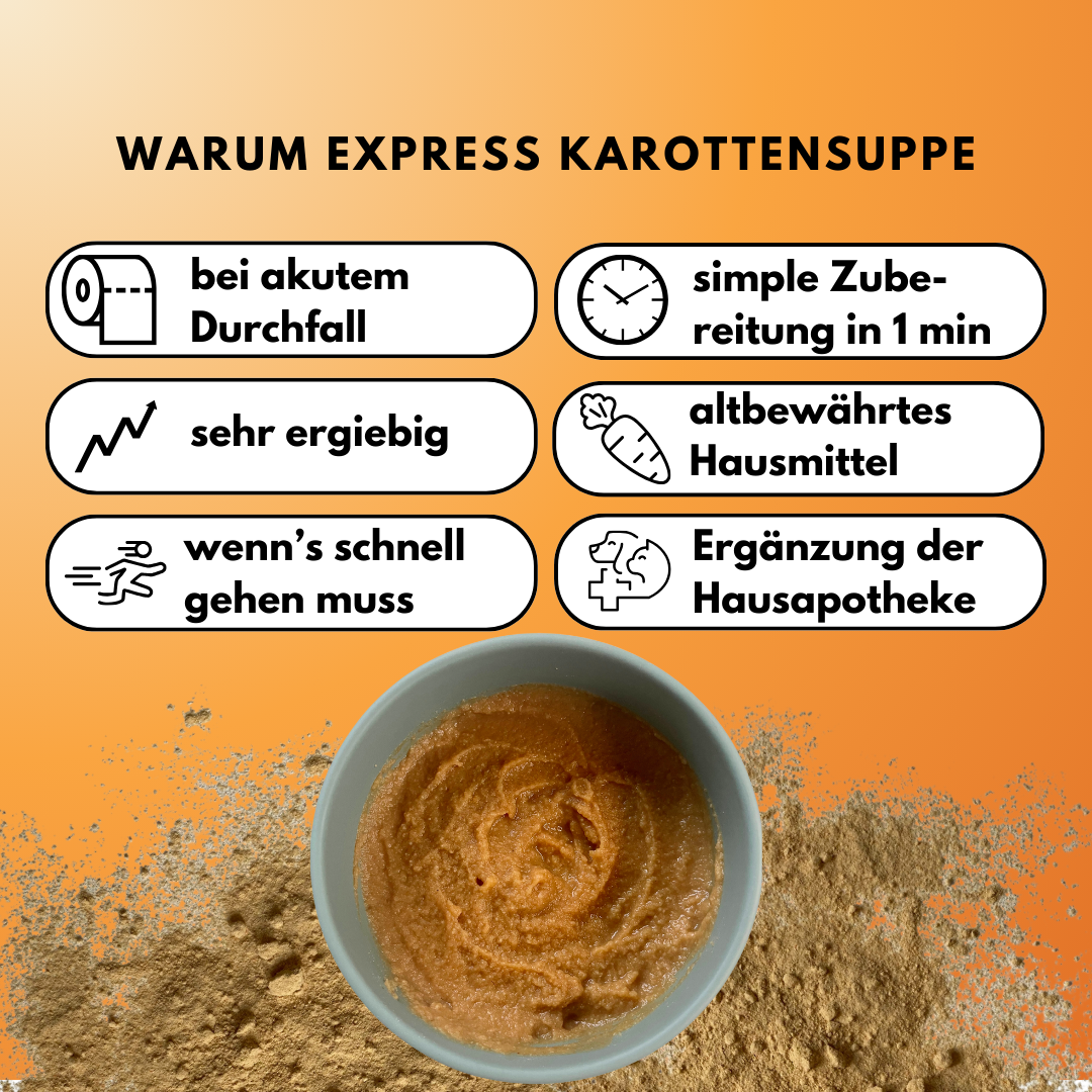 Morosche Karottensuppe - Karottenpulver mit Apfel verfeinert (200g)