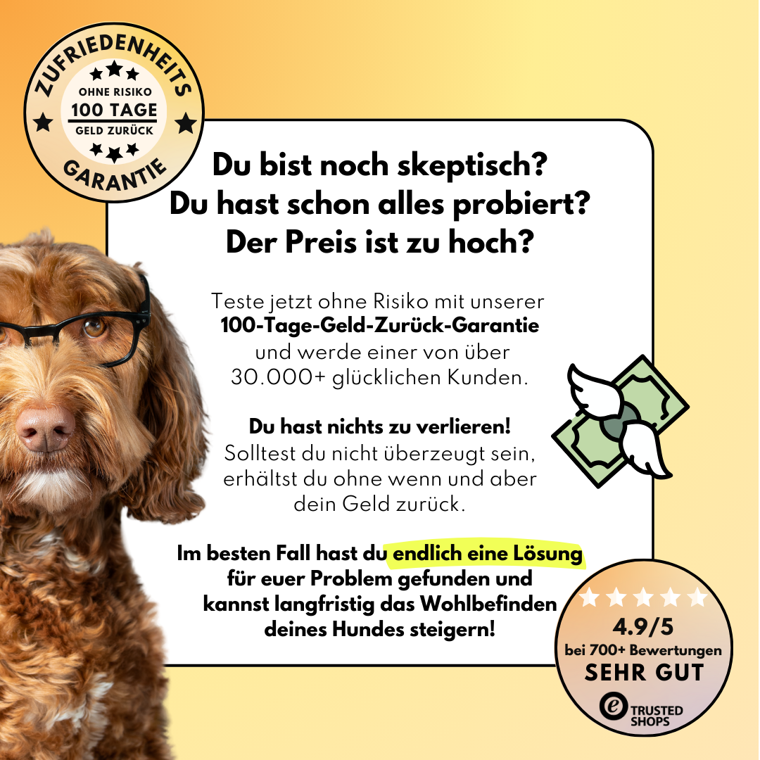 Darmpulver für Hunde mit Prä- & Probiotika, Flohsamenschalen und Inulin (200g)