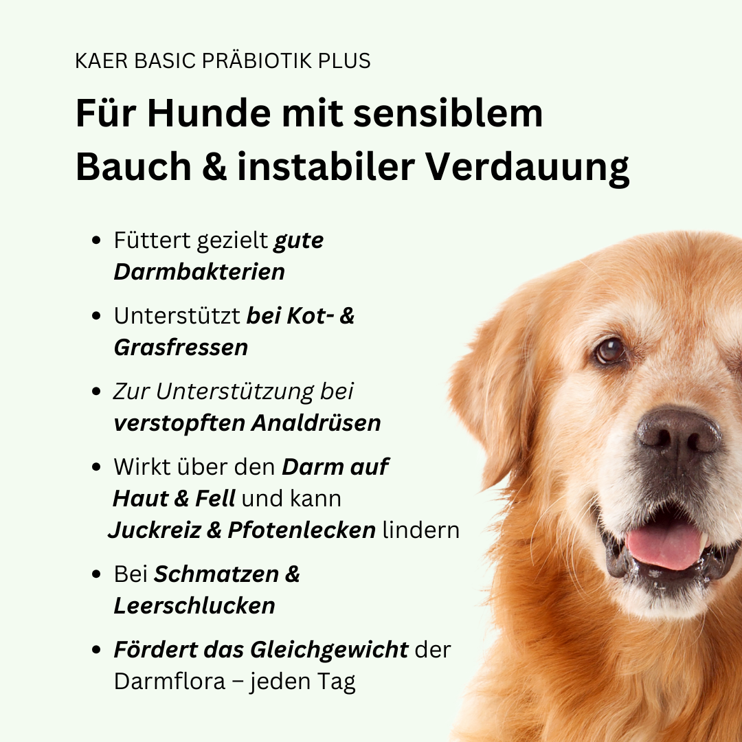 kaer basic – Präbiotische Magen-Darm-Drops: Bei Analdrüsen, Sodbrennen, Gras und Kot fressen & Juckreiz
