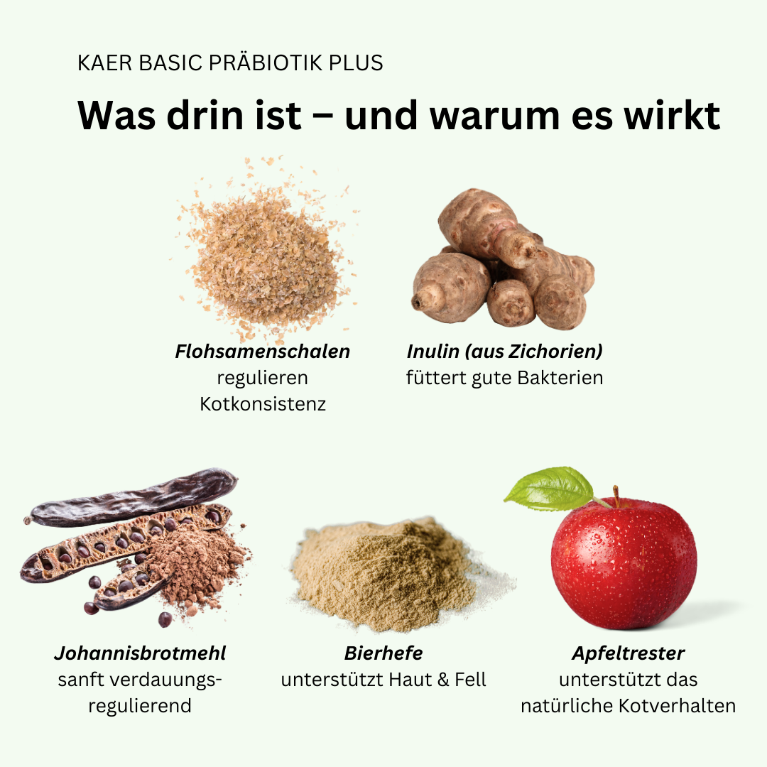 kaer basic – Präbiotische Magen-Darm-Drops: Bei Analdrüsen, Sodbrennen, Gras und Kot fressen & Juckreiz