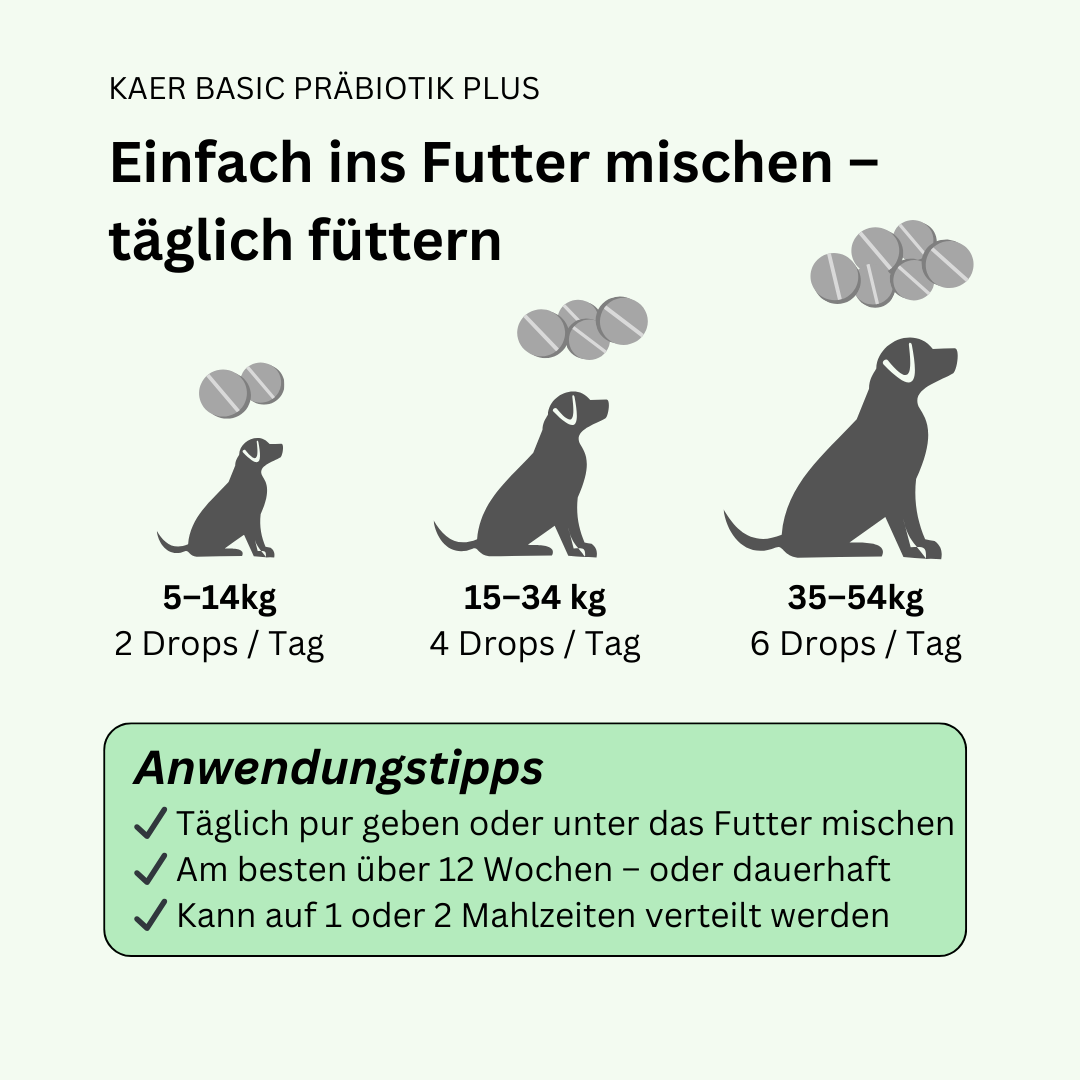 kaer basic – Präbiotische Magen-Darm-Drops: Bei Analdrüsen, Sodbrennen, Gras und Kot fressen & Juckreiz
