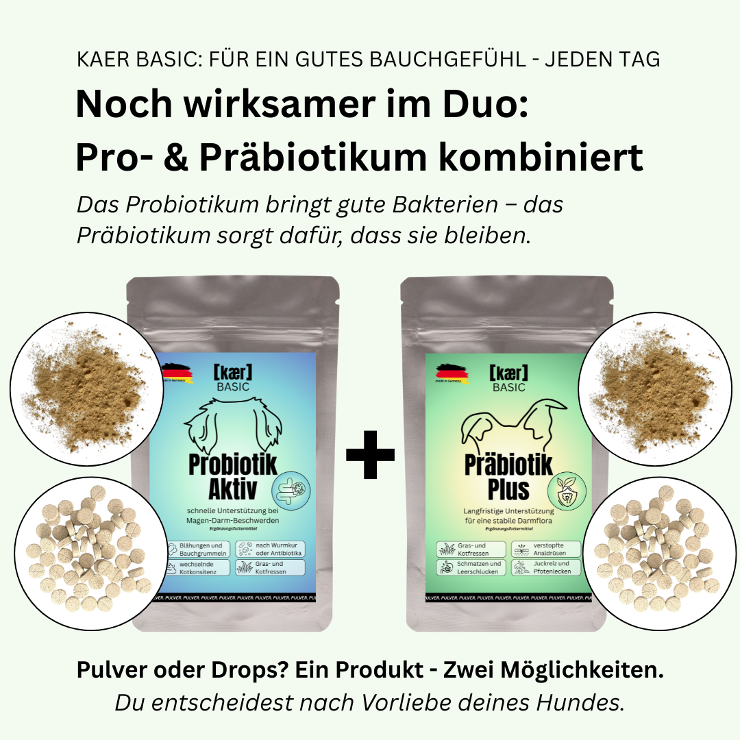 kaer basic – Präbiotische Magen-Darm-Drops: Bei Analdrüsen, Sodbrennen, Gras und Kot fressen & Juckreiz