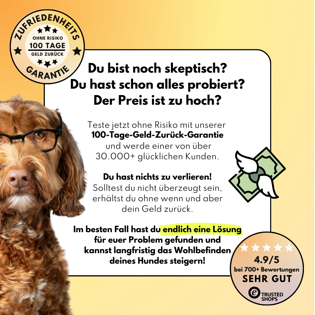 Darmdrops für Hunde mit Prä- & Probiotika, Flohsamenschalen und Inulin (60 Stk.)