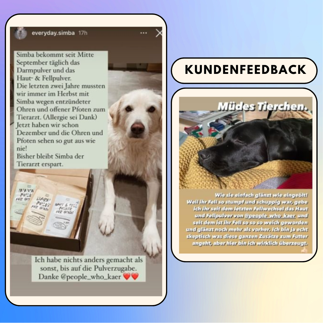 Haut & Fell Pulver für Hunde mit Biotin, Kurkuma, Hyaluron & Bierhefe (200g)