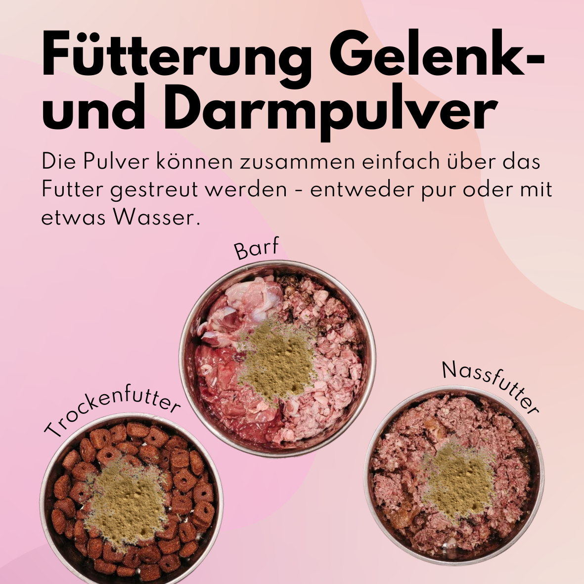 Favoriten Box von @richterskleinesrudel_