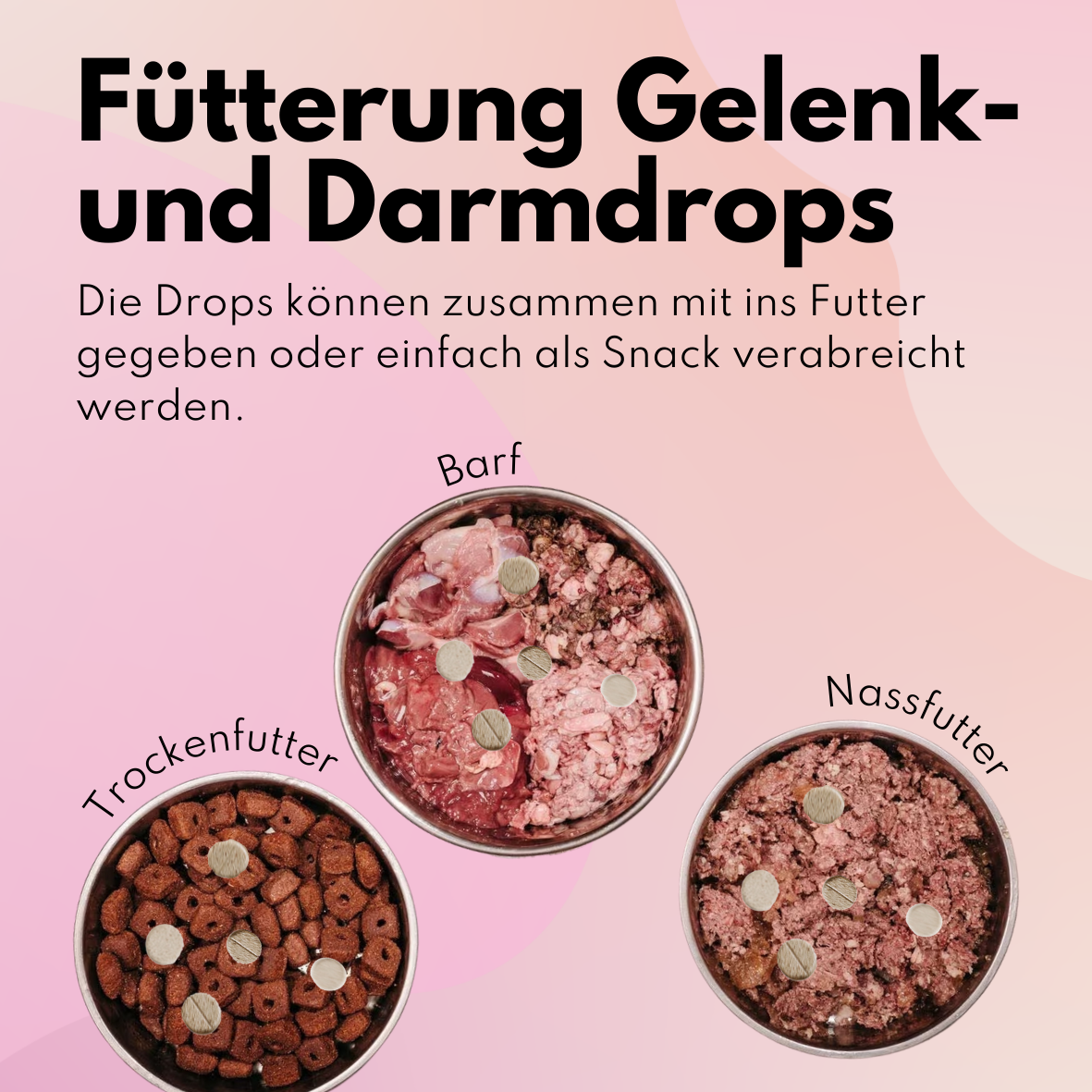 Favoriten Box von @richterskleinesrudel_
