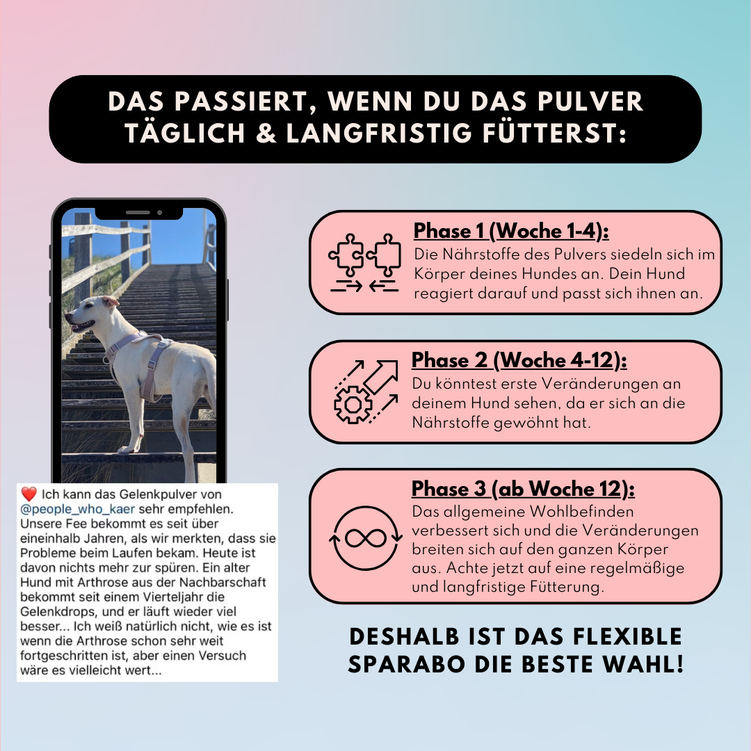 Gelenkpulver für Hunde mit Glucosamin, Grünlippmuschel & Kurkuma (200g)