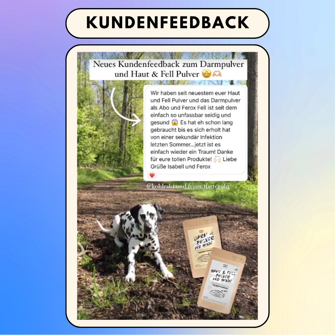 Haut & Fell Pulver für Hunde mit Biotin, Kurkuma, Hyaluron & Bierhefe (200g)
