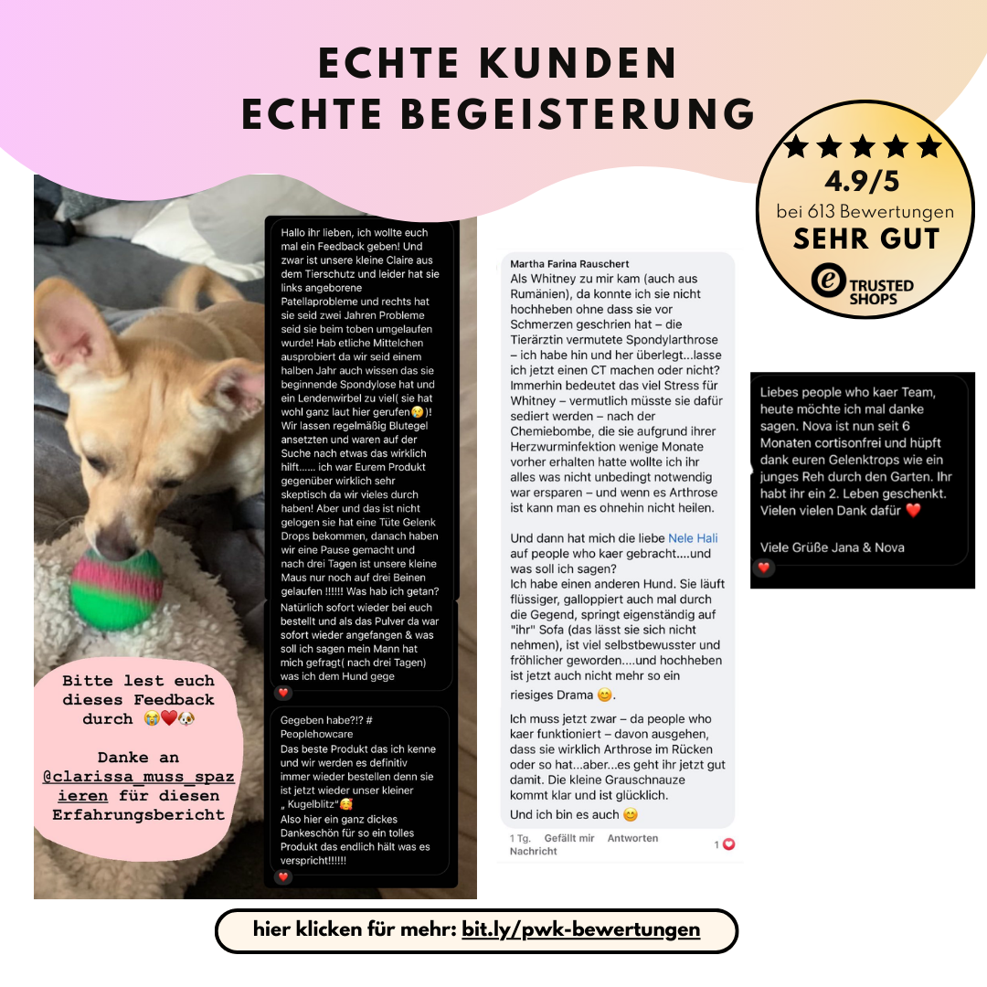 Gelenktabletten mit Glucosamin, Grünlippmuschel und Kurkuma (60 Stk.)