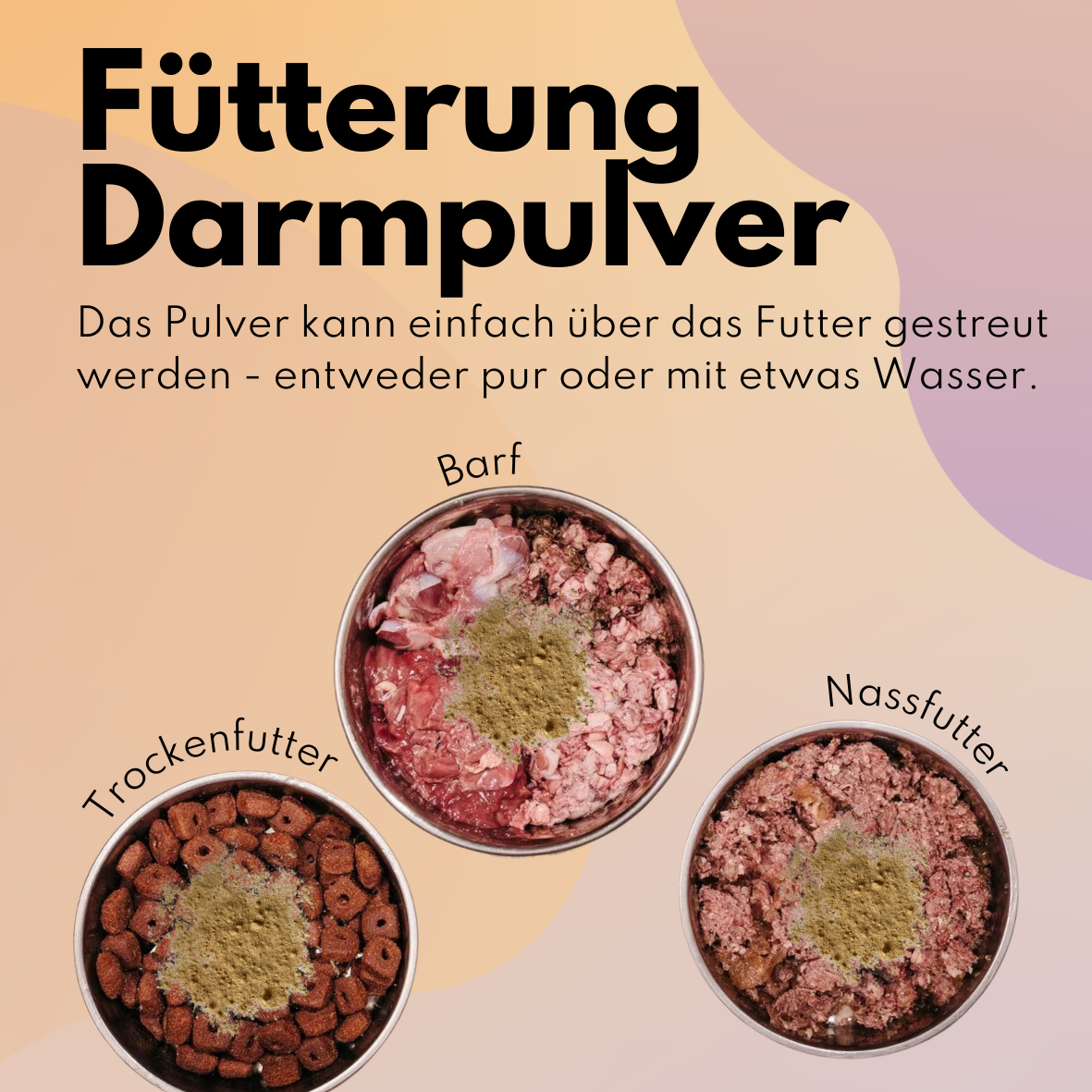 Sparset - "Darmreinigung" (Karottensuppe + Darmpulver + Kau Snack mit Fell)