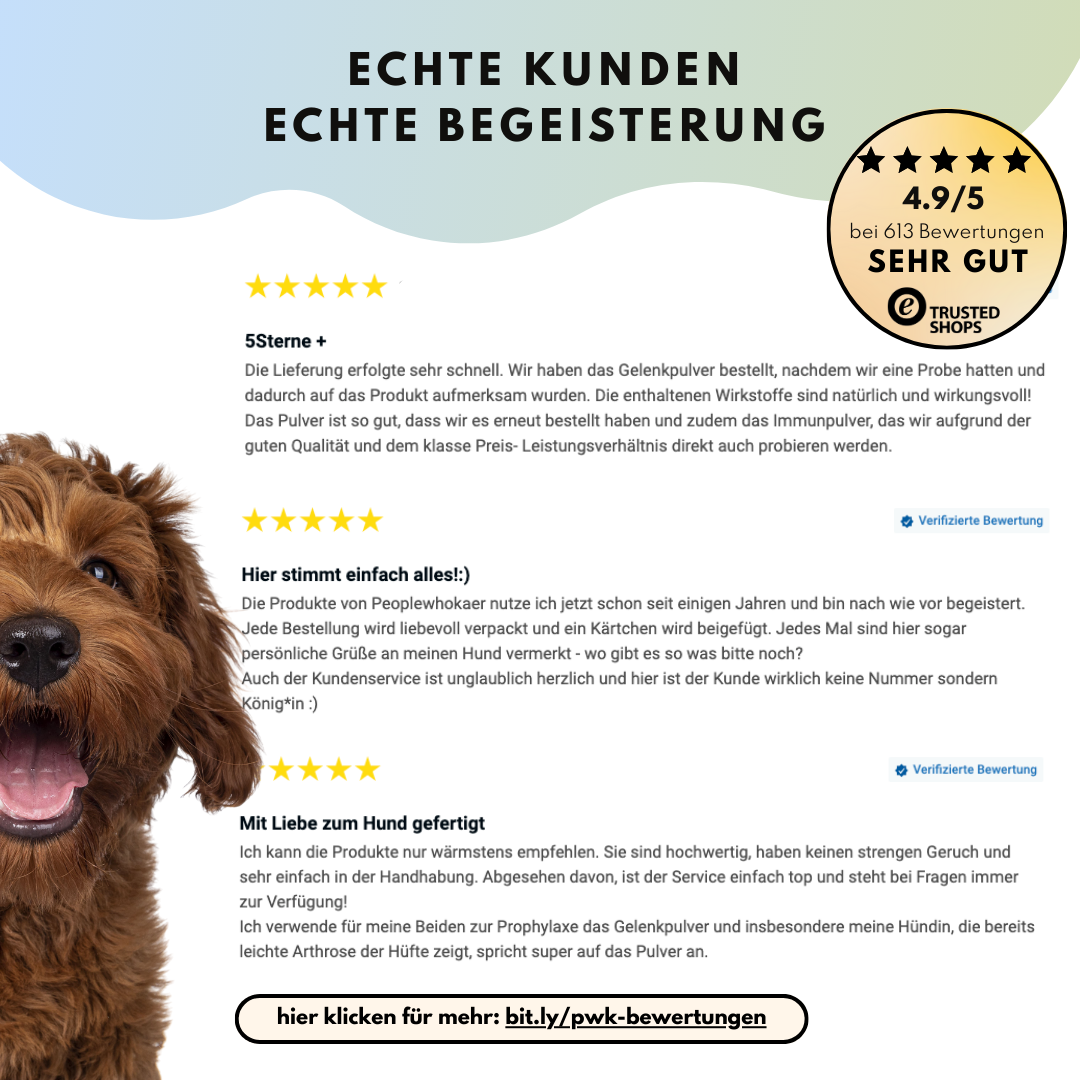Gelenkpulver für Allergiker & Mäkler mit MSM, Teufelskralle und Weidenrinde (200g)