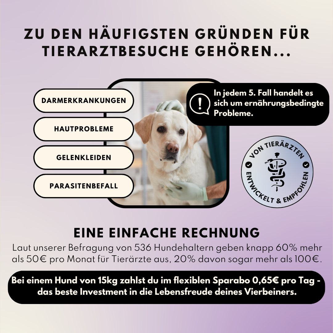 Darmpulver für Allergiker und Mäkler (200g)
