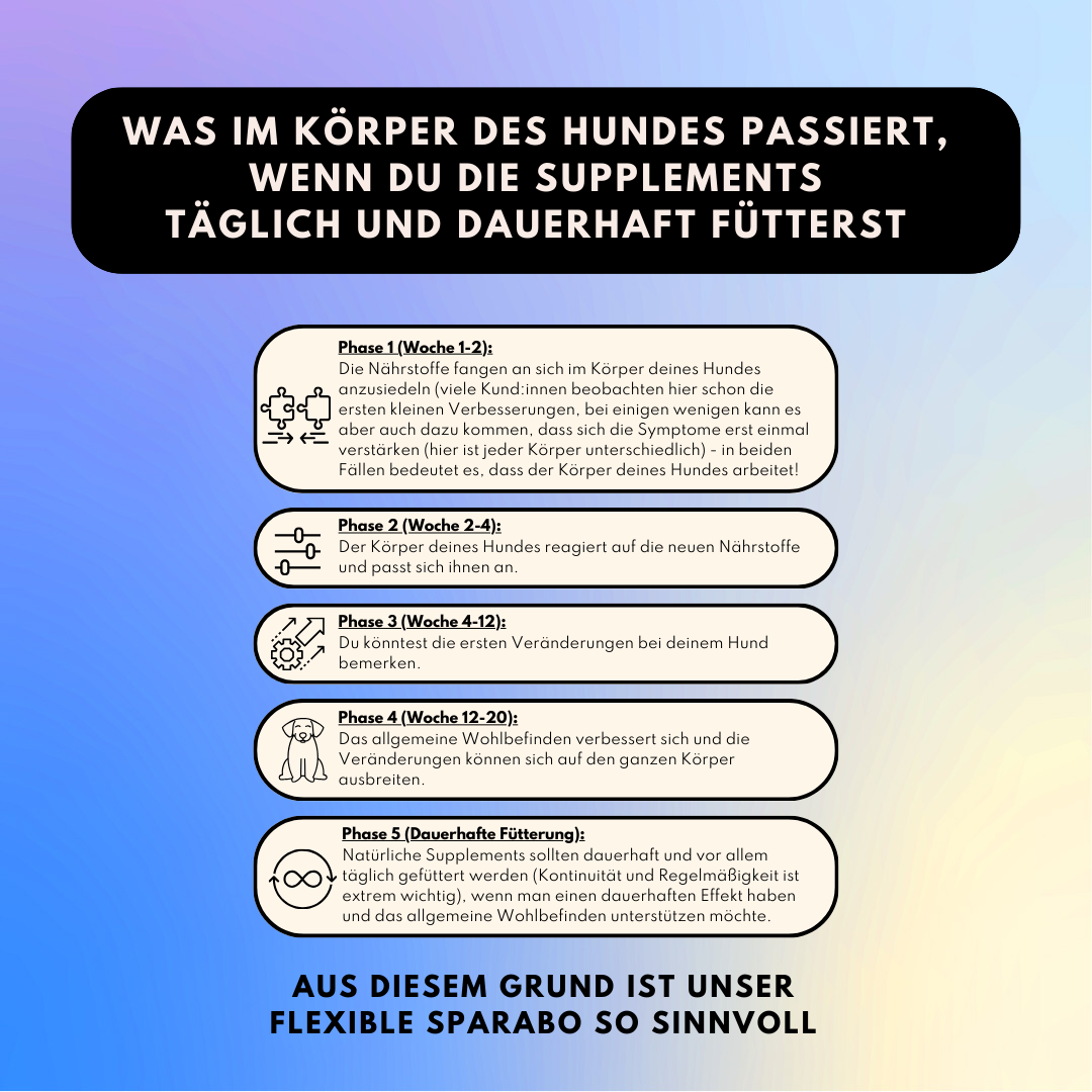 Haut & Fell Pulver für Hunde mit Biotin, Kurkuma, Hyaluron & Bierhefe (200g)